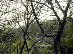 Ayami K¡da (木田彩水) – FDD-1206 [Fanta Dream] Super Idol C