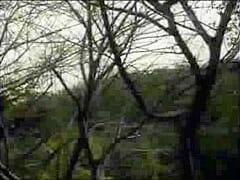 [Fanta Dream]Super Idol Volume 6 Toshimi K¡da(Ayami Ki