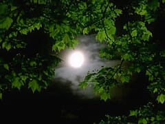 YUYU-002 COLOSSAL TITS LESBIANS – SISTERS WITH DYNAMITE